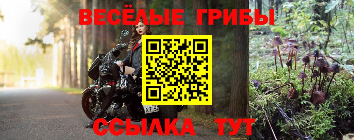 Псилоцибиновые грибы ЛСД  Вход с VPN  Благодарный 